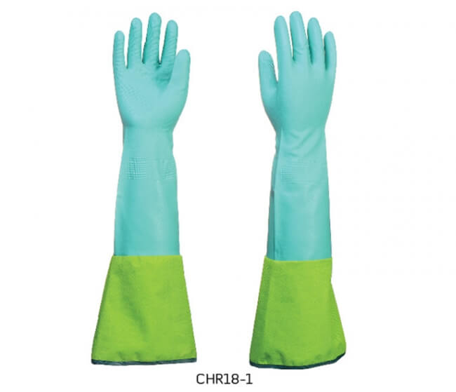 chr18-1-professional
